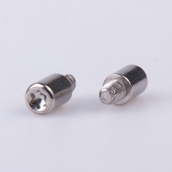 Customized Stainless Steel Torx Driver Head Long Cap Screw With Self Tapping Thread 
