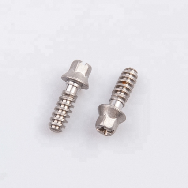 Stainless Steel Hex Head Self Tapping Worm Drive Clamp Screw